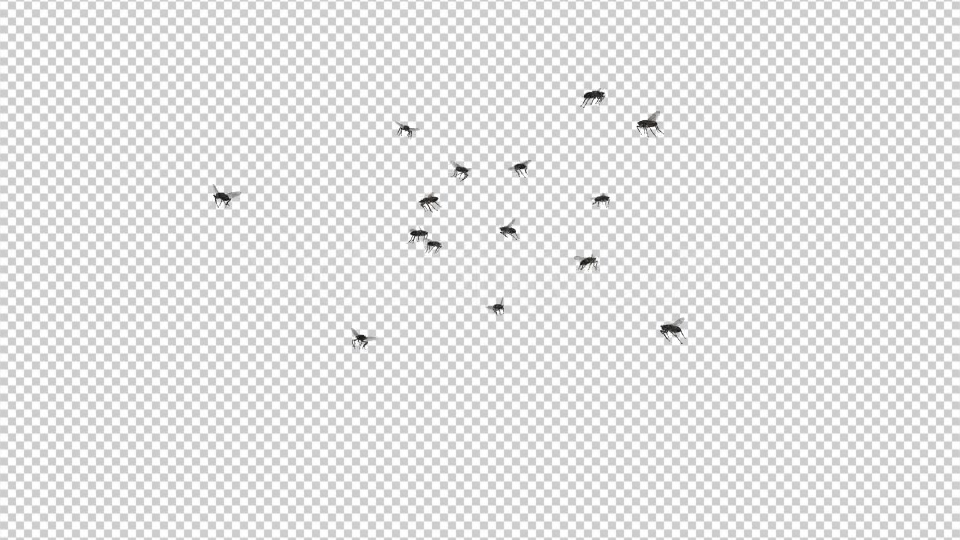 Fly Swarm Flying Around 4K Videohive 20828678 Motion Graphics Image 3