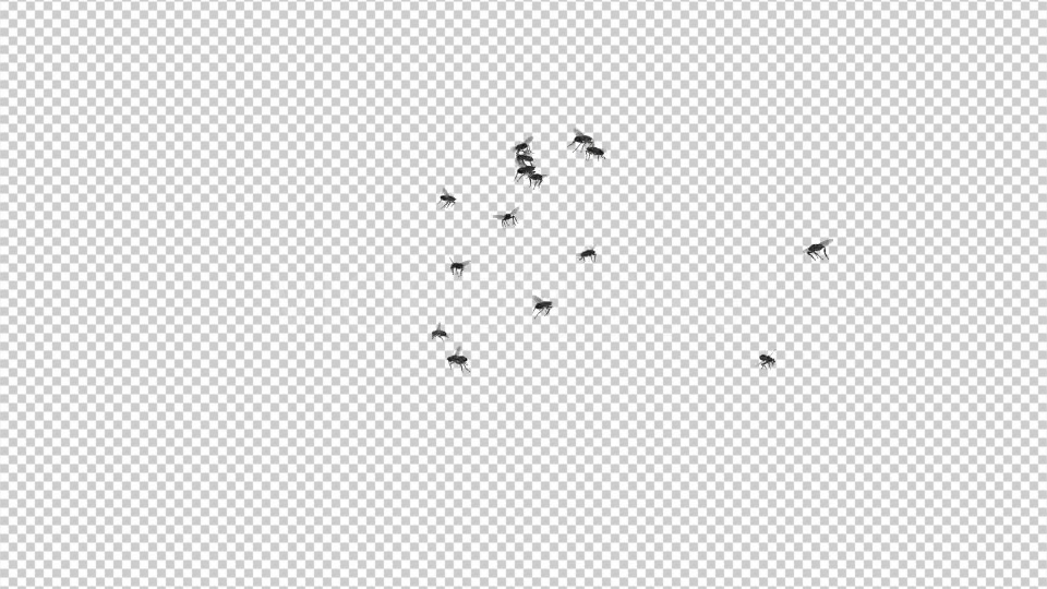 Fly Swarm Flying Around 4K Videohive 20828678 Motion Graphics Image 7