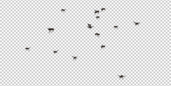Fly Swarm Flying Around - Download Videohive 20828656