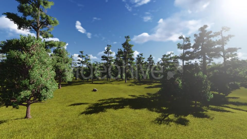 Fly through Forest Videohive 13047180 Motion Graphics Image 12