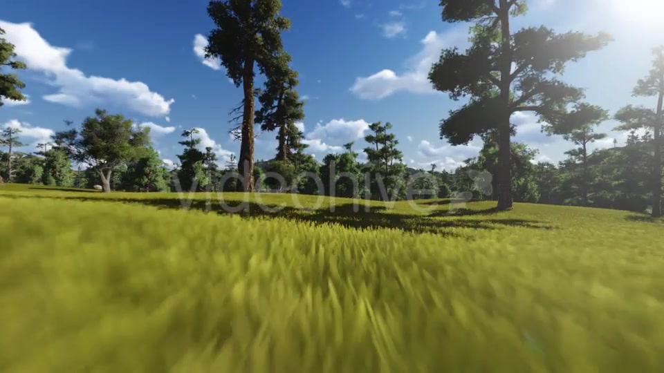 Fly through Forest Videohive 13047180 Motion Graphics Image 6