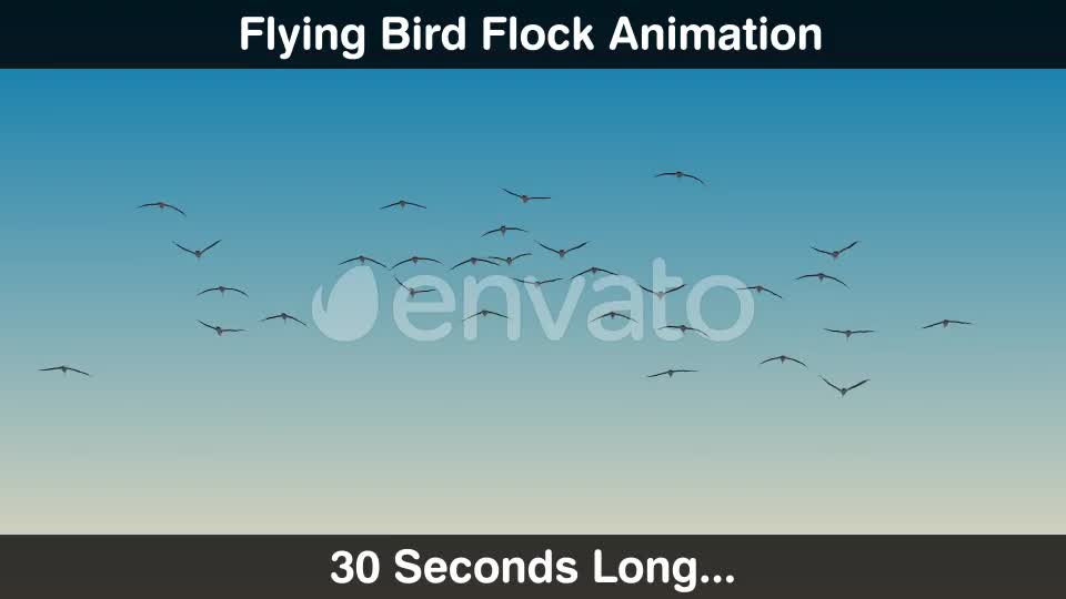 Flying Bird Flock Forward Videohive 22654604 Motion Graphics Image 1