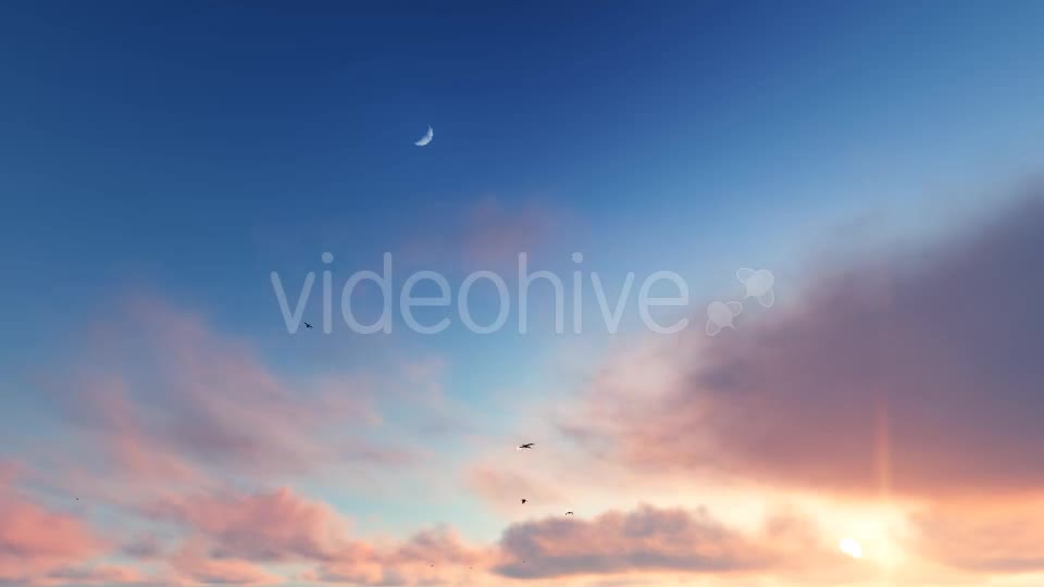 Flying Birds on Clouds Videohive 20456687 Motion Graphics Image 1