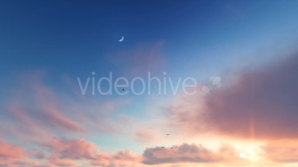 Flying Birds on Clouds Videohive 20456687 Motion Graphics Image 2