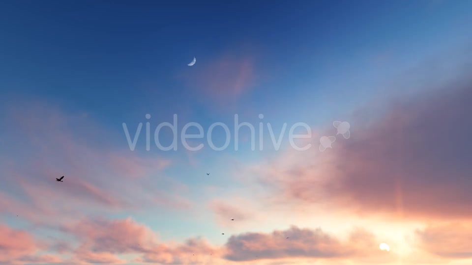 Flying Birds on Clouds Videohive 20456687 Motion Graphics Image 3