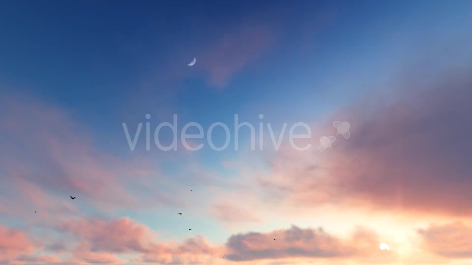 Flying Birds on Clouds Videohive 20456687 Motion Graphics Image 4