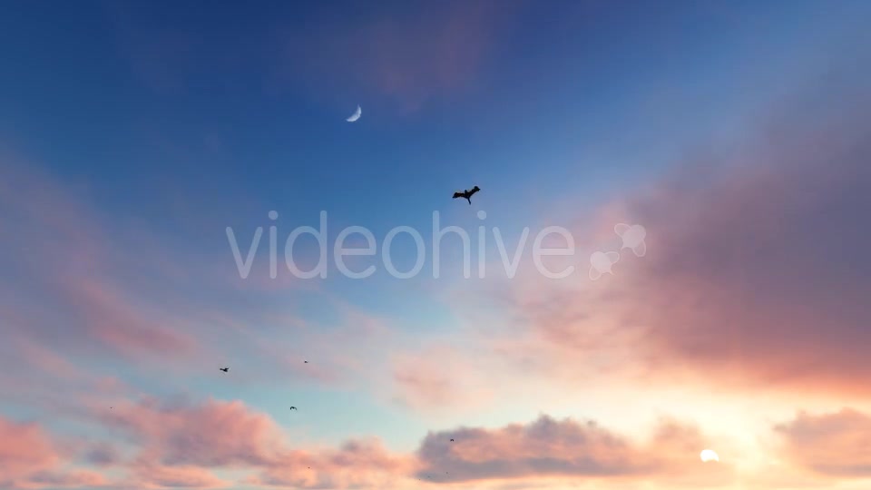 Flying Birds on Clouds Videohive 20456687 Motion Graphics Image 5