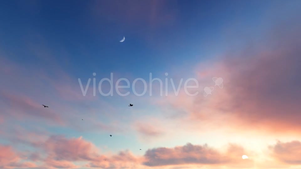 Flying Birds on Clouds Videohive 20456687 Motion Graphics Image 6