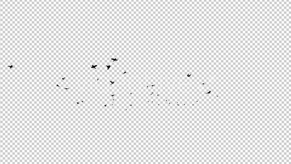 Flying Birds Silhouette Videohive 20474353 Motion Graphics Image 5