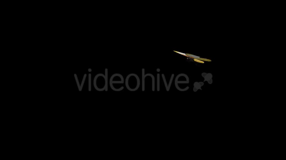 Flying Butterfly African Dotted Border Videohive 19652315 Motion Graphics Image 1