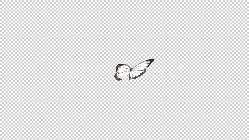 Flying Butterfly White Cabbage Videohive 10131491 Motion Graphics Image 5