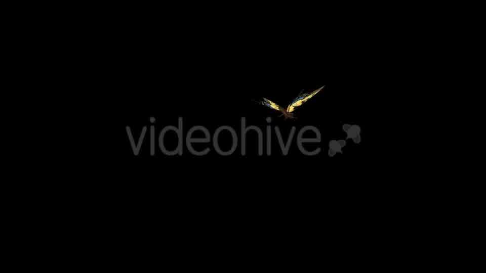 Flying Butterfly Yellow Swallowtail Videohive 10072666 Motion Graphics Image 11