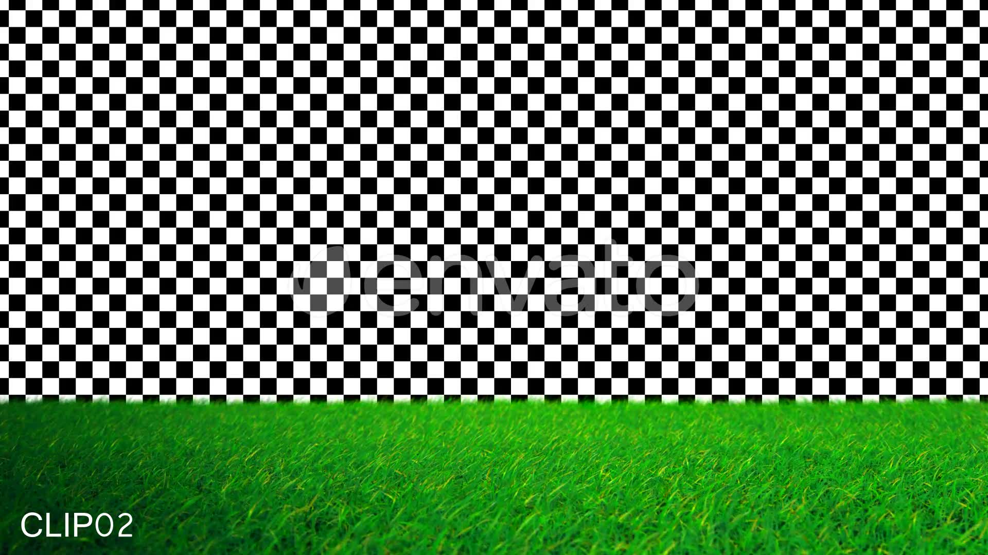 Flying On Grass In Stadium HD Pack Videohive 22140519 Motion Graphics Image 7