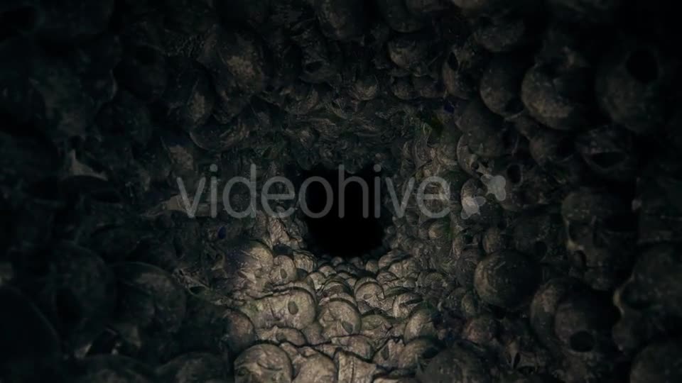 Flying On Stone Skulls HD Videohive 20817004 Motion Graphics Image 1