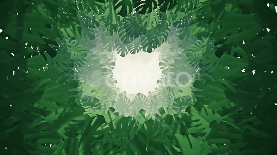 Flying On Swiss Cheese Plant 05 HD Videohive 23331650 Motion Graphics Image 10