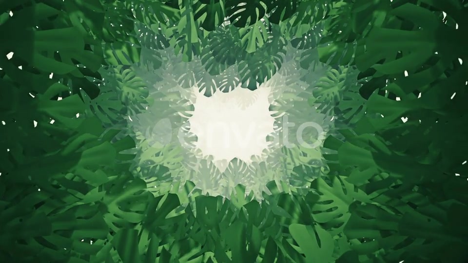 Flying On Swiss Cheese Plant 05 HD Videohive 23331650 Motion Graphics Image 5