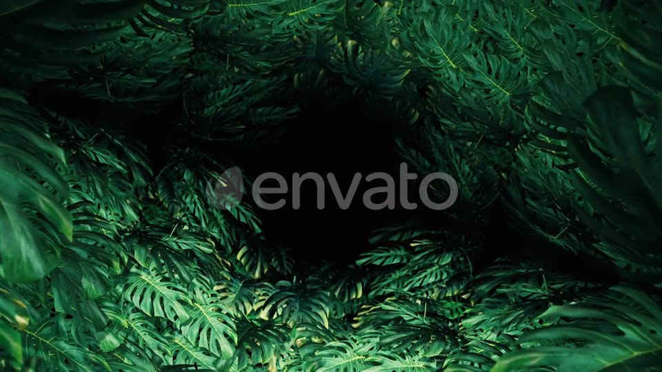Flying On Swiss Cheese Plant 06 HD Videohive 23329682 Motion Graphics Image 6