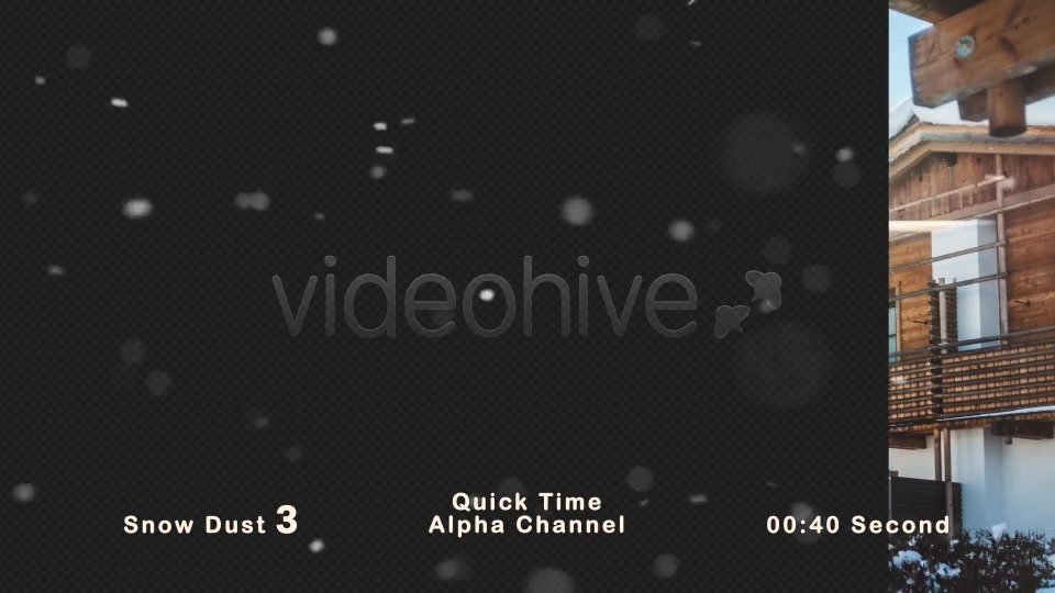 Flying Snow dust Particles Videohive 21031444 Motion Graphics Image 9