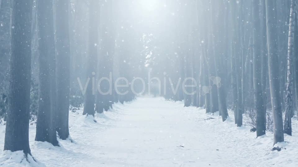 Foggy Winter Background Videohive 18316479 Motion Graphics Image 1