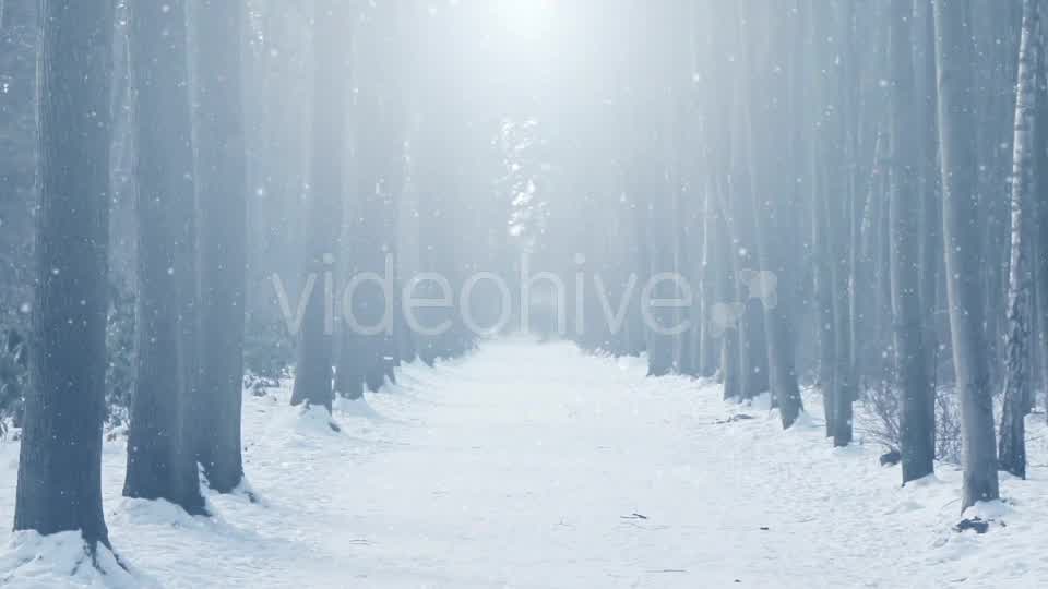 Foggy Winter Background Videohive 18316479 Motion Graphics Image 10