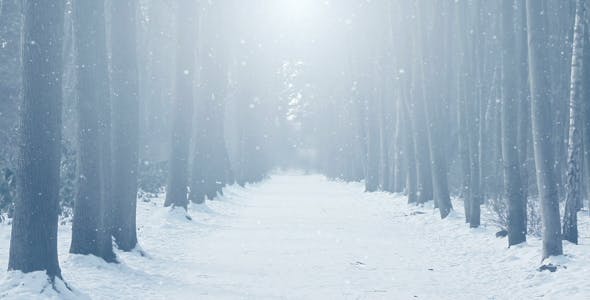 Foggy Winter Background - Videohive Download 18316479