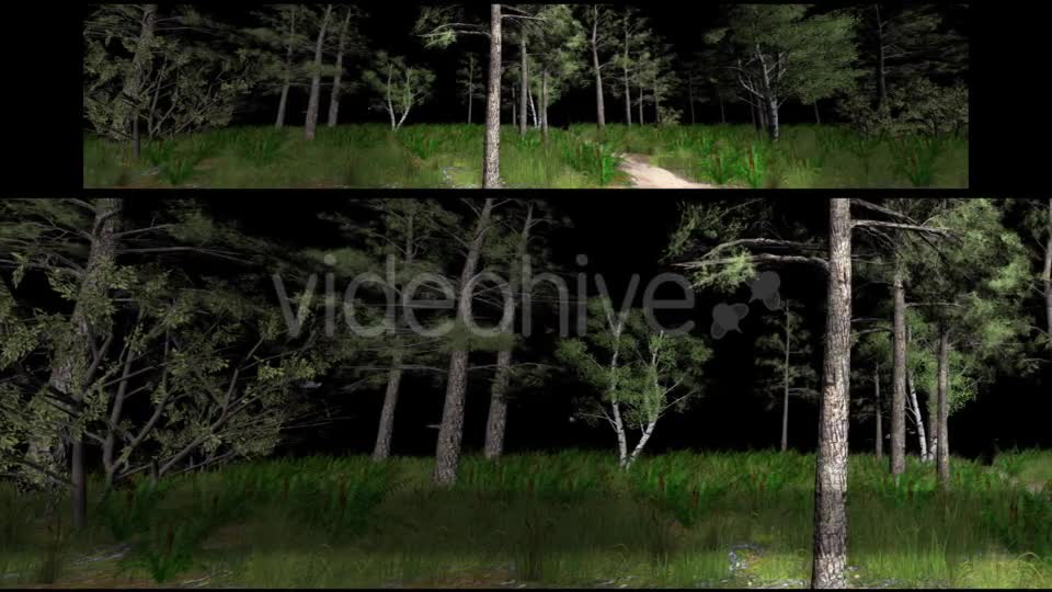 Forest 3D Panoramic Animation Videohive 20817273 Motion Graphics Image 1