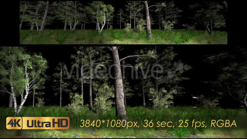 Forest 3D Panoramic Animation Videohive 20817273 Motion Graphics Image 10