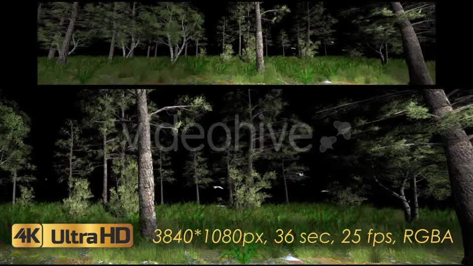 Forest 3D Panoramic Animation Videohive 20817273 Motion Graphics Image 11