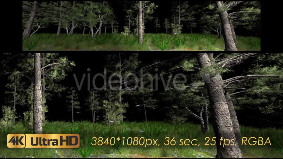 Forest 3D Panoramic Animation Videohive 20817273 Motion Graphics Image 12
