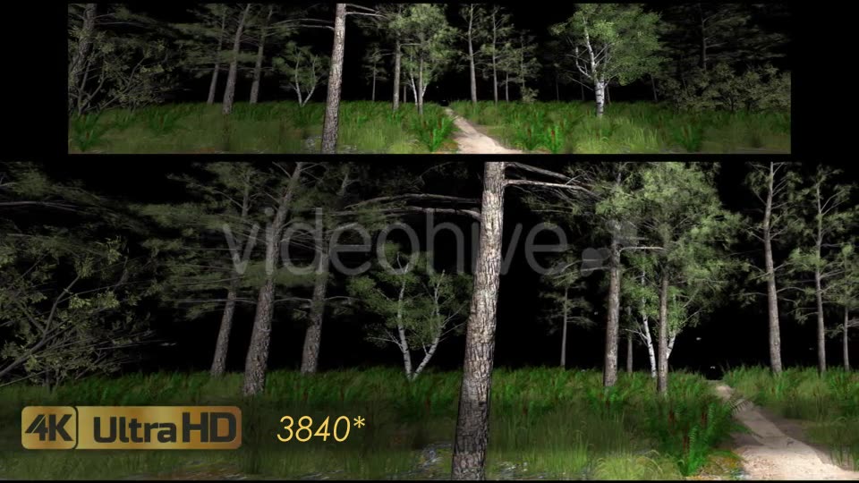 Forest 3D Panoramic Animation Videohive 20817273 Motion Graphics Image 2