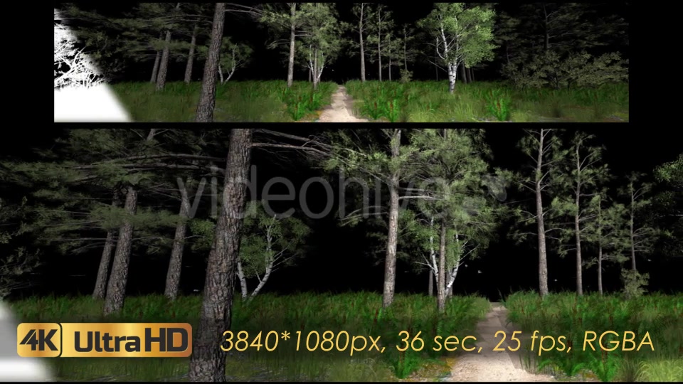 Forest 3D Panoramic Animation Videohive 20817273 Motion Graphics Image 3