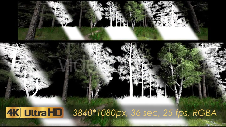 Forest 3D Panoramic Animation Videohive 20817273 Motion Graphics Image 5