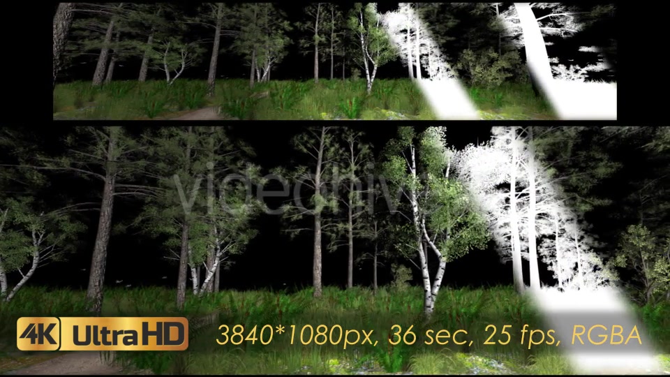 Forest 3D Panoramic Animation Videohive 20817273 Motion Graphics Image 6