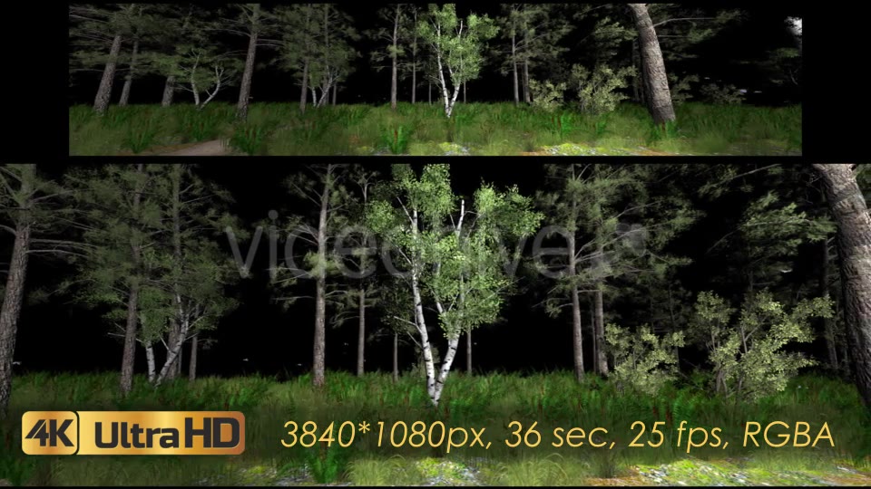 Forest 3D Panoramic Animation Videohive 20817273 Motion Graphics Image 7
