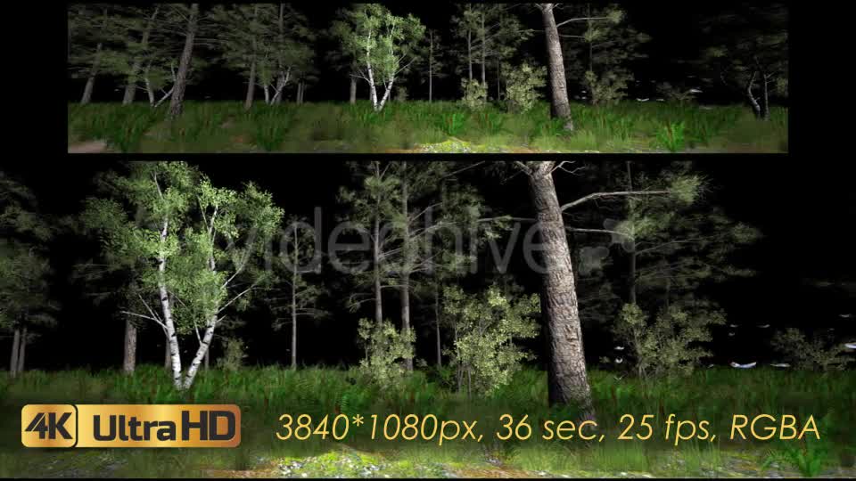 Forest 3D Panoramic Animation Videohive 20817273 Motion Graphics Image 9