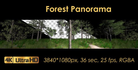 Forest 3D Panoramic Animation - Videohive Download 20817273