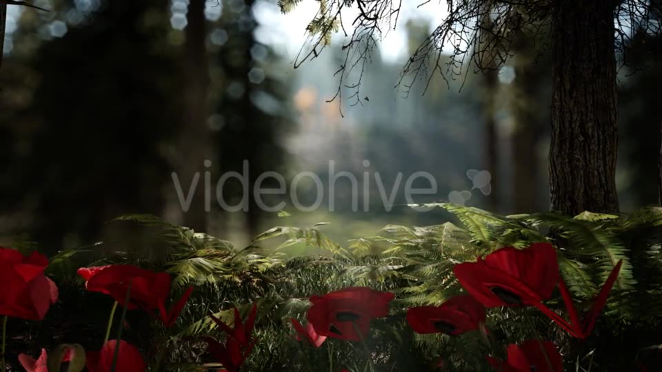 Forest Life 3 Videohive 20836755 Motion Graphics Image 10