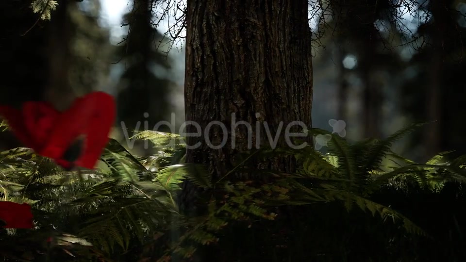 Forest Life 3 Videohive 20836755 Motion Graphics Image 7