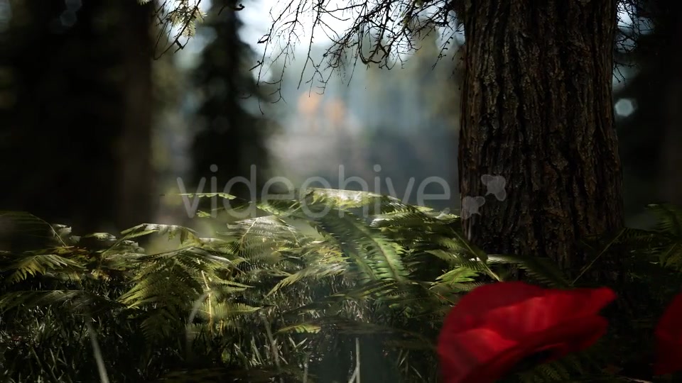 Forest Life 3 Videohive 20836755 Motion Graphics Image 8