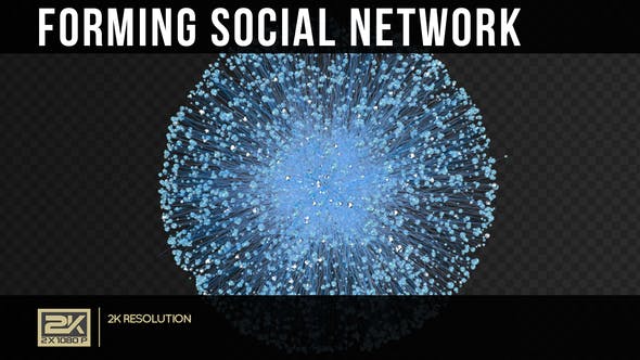 Formation Social Network - Download 22411234 Videohive