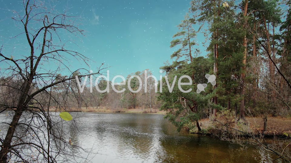 Four Seasons Long Version Videohive 21370328 Motion Graphics Image 3