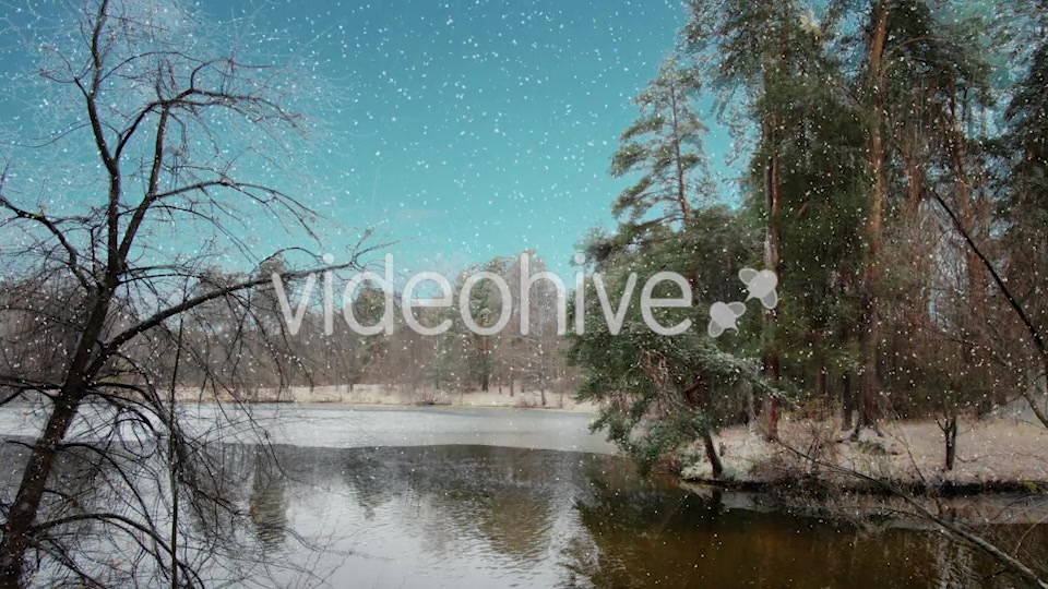 Four Seasons Long Version Videohive 21370328 Motion Graphics Image 4