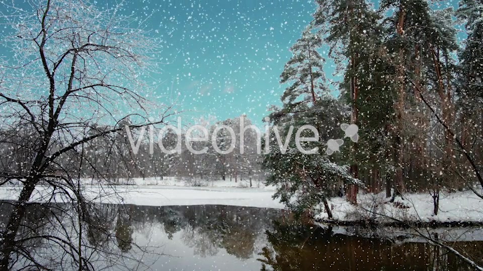 Four Seasons Long Version Videohive 21370328 Motion Graphics Image 5