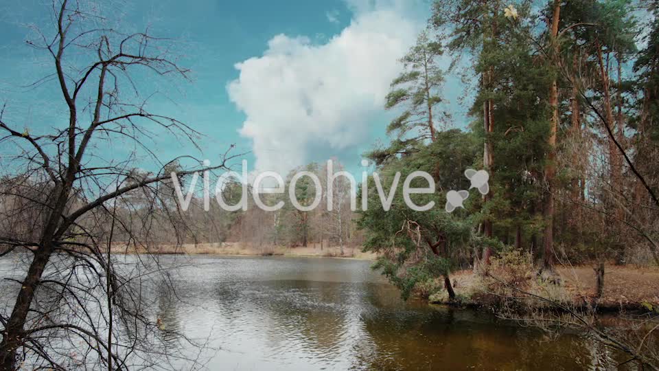 Four Seasons Long Version Videohive 21370328 Motion Graphics Image 7