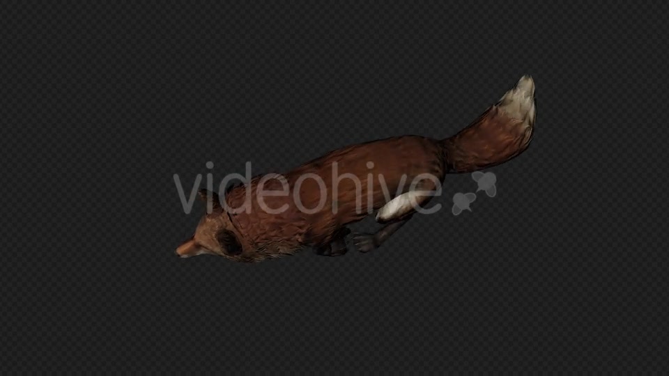 Fox Run Pack 4 In 1 Videohive 20045857 Motion Graphics Image 9