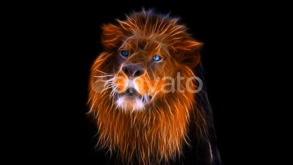 Fractal Lion 4K Videohive 23796185 Motion Graphics Image 1