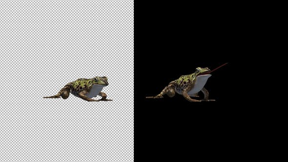 Frog Catching - Videohive 22188125 Download