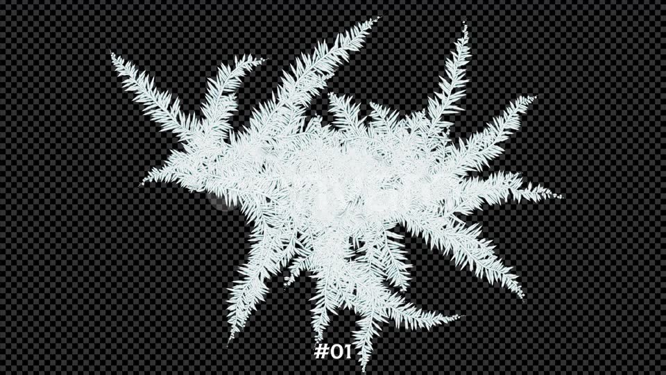Frost Blast 5Clips 4K Videohive 25109088 Motion Graphics Image 3