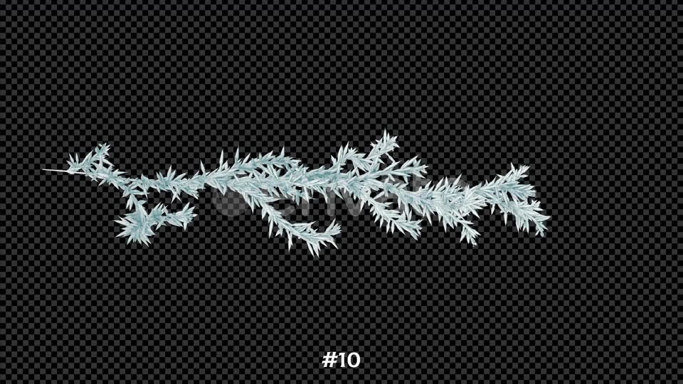 Frost Lines 10Clips 4K Videohive 25109279 Motion Graphics Image 12