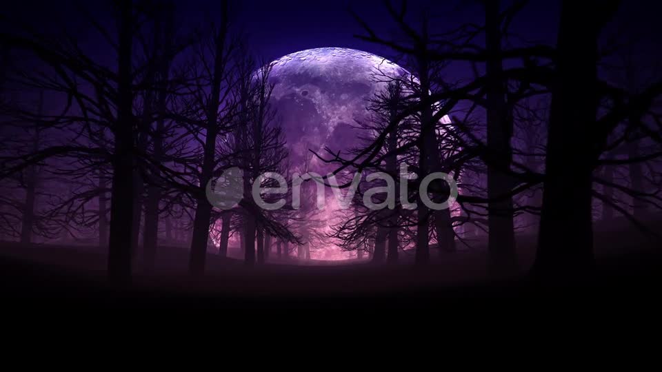 Full Moon Night In Forest Halloween Background 01 HD Videohive 24767669 Motion Graphics Image 1